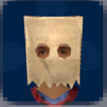 Paper Bag