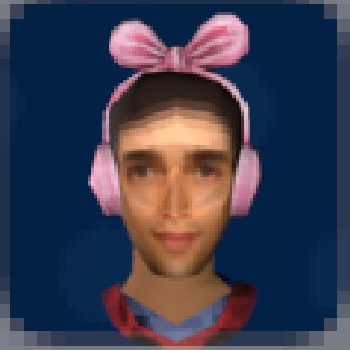 Ear Muffs